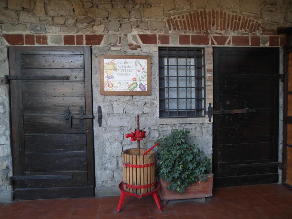 Casale Degli Archi Villa Castel Gandolfo Bagian luar foto